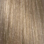 L'Oréal Professionnel INOA Permanent Hair Colour - 10.1 Lightest Natural Ash Blonde 60ml