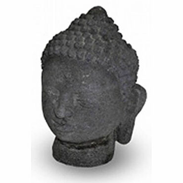 Beauty Express Buddha Head (Kepala)