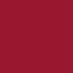 Andreia Professional Gel Polish 304 Berry Red, 10.5ml