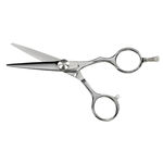 Saiza Scissors Tarantula 5"