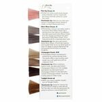 #mydentity Guy Tang Dream Collection Swatch Page