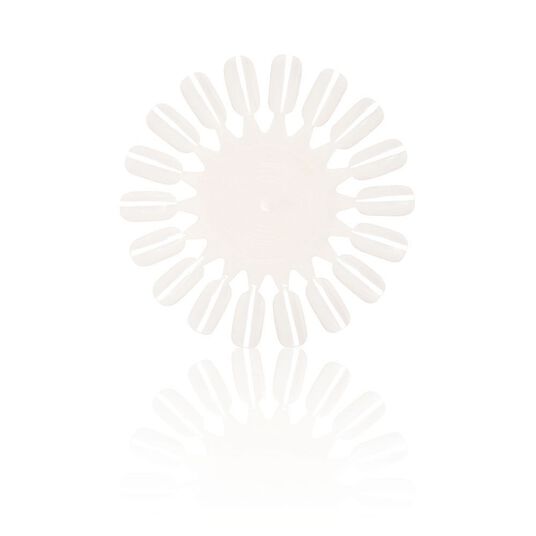 Salon Services Unpainted Colour Wheels Pack of 5