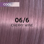 Wella Professionals Shinefinity Zero Lift Glaze - 06/6 Cool Cherry Wine 60ml