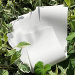 Paper Not Foil, Large, 13cm x 40cm, Pack of 500 reusable sheets