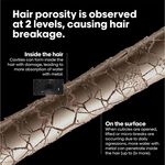 L'Or&eacute;al Professionnel Serie Expert Metal Detox Pre-Shampoo Treatment 250ml