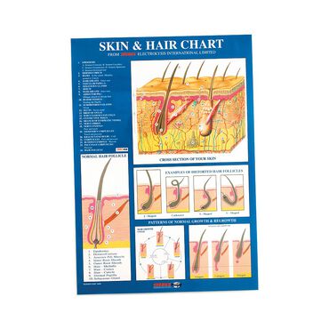 Sterex Electrolysis Skin and Hair Chart A2