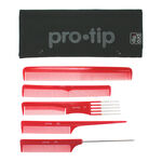 Pro Tip 5 Piece Comb Set in Mesh Wallet