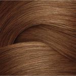 Redken Shades EQ Bonder Inside Demi Permanent Hair Colour 06ABN Brown Smoke 60ml
