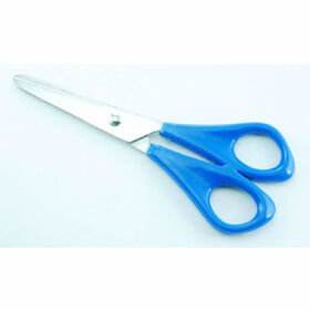 Beauty Express Be Basics Stainless Steel Scissors
