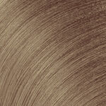 Redken Color Gels Lacquers Permanent Hair Colour 10N Cafe Creme Latte 60ml