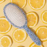 Framar Limoncello Detangle Brush - Capri