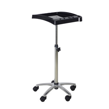 Salon Services Idaho Tint Trolley