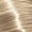 10.81 Extra Light Blonde Pearl Ash