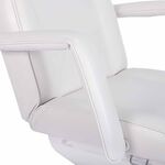 S-PRO Helena Electric Beauty Chair 1 Motor