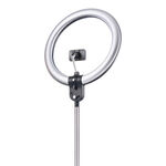 Daylight Company Aura Ring Lamp