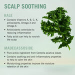 Schwarzkopf Professional Bonacure Scalp Soothing Serum 100ml