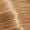 9-50 Extra Light Blonde Gold Natural