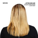 Redken Extreme Anti-Snap Treatment 240ml