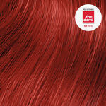 Paul Mitchell The Demi Demi Permanent Liquid Hair Colour - 6R 60ml