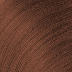 Redken Color Gels Lacquers Permanent Hair Colour 4CB Clove 60ml