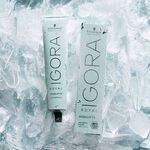Schwarzkopf Professional Igora Royal Highlifts Permanent Hair Colour - 12-1 Special Blonde Cendré 60ml