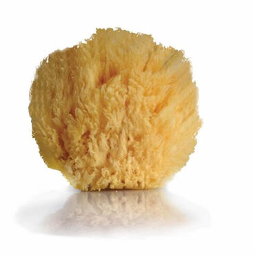 Beauty Express Natural Sea Sponge 13cm