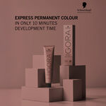 Schwarzkopf Professional Igora Color 10 Permanent Hair Colour - 6-0 Dark Blonde Natural 60ml