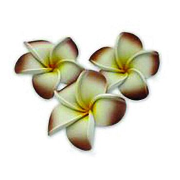 Beauty Express Floating Frangipani Brown Pack of 10