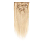Wildest Dreams 100% Human Hair Clip-In Extensions, Half Head, 18 inch/52g - 24/27 Shimmering Blonde