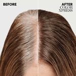Wella Professionals Color Xpress Permanent Hair Colour - Lightest Blonde 10/ 60ml