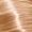 10.5 Extra Light Blonde Mahogany