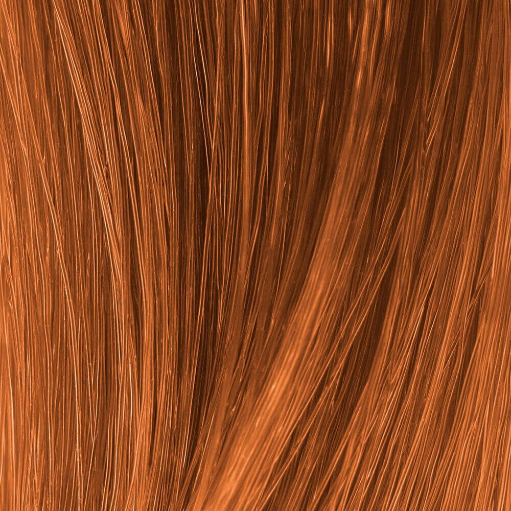 Plant Based Hair Color | Biolage Professional Blog