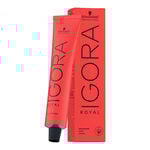 Schwarzkopf Professional Igora Royal Permanent Hair Colour - 6-0 Natural Dark Blonde 60ml