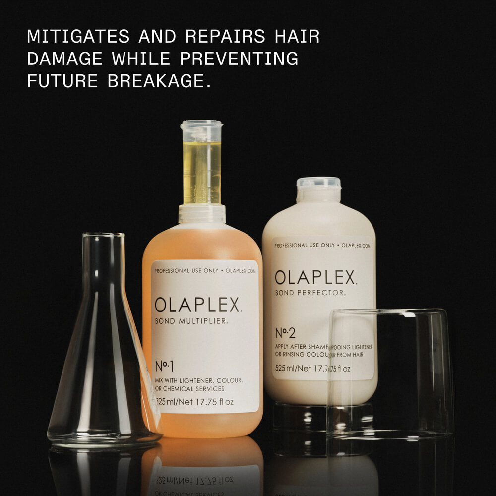 Olaplex Salon Intro Kit Hair Treatment Salon Services