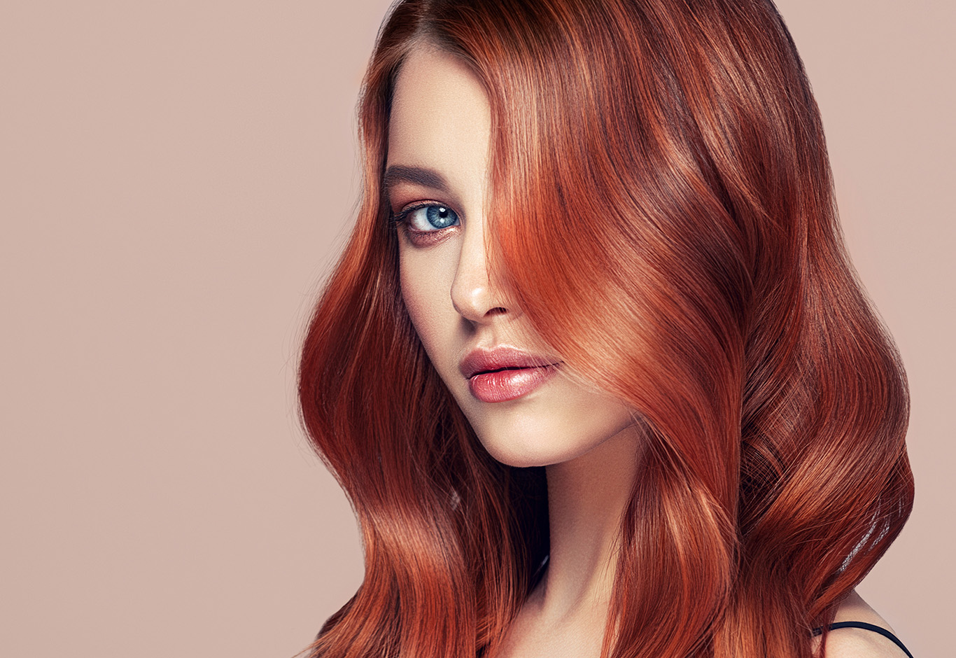 Explore the XP colour range