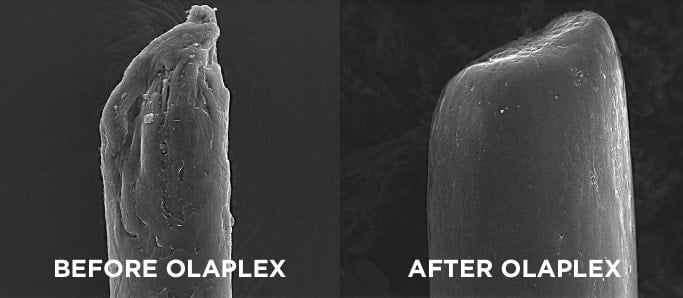 What Does Olaplex Do?