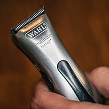 Wahl Clippers