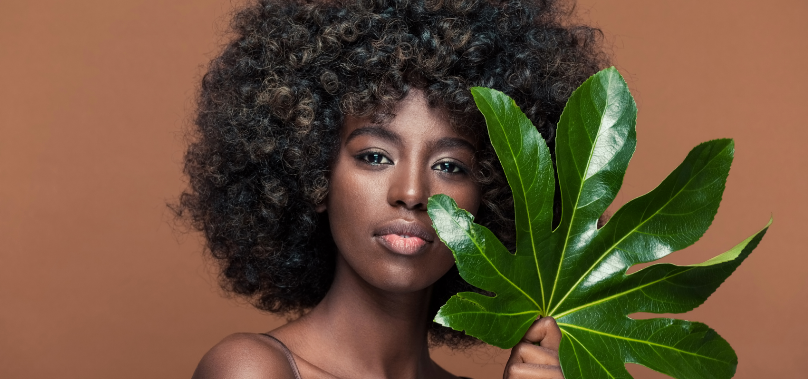 Our Vegan Hair and Beauty Guide