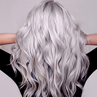 Silver and Grey Shampoo