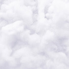 Beauty Cotton Wool & Tissues