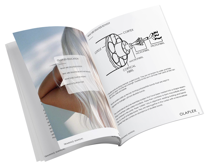 How to Use Olaplex What Does Olaplex Do? Salon Services