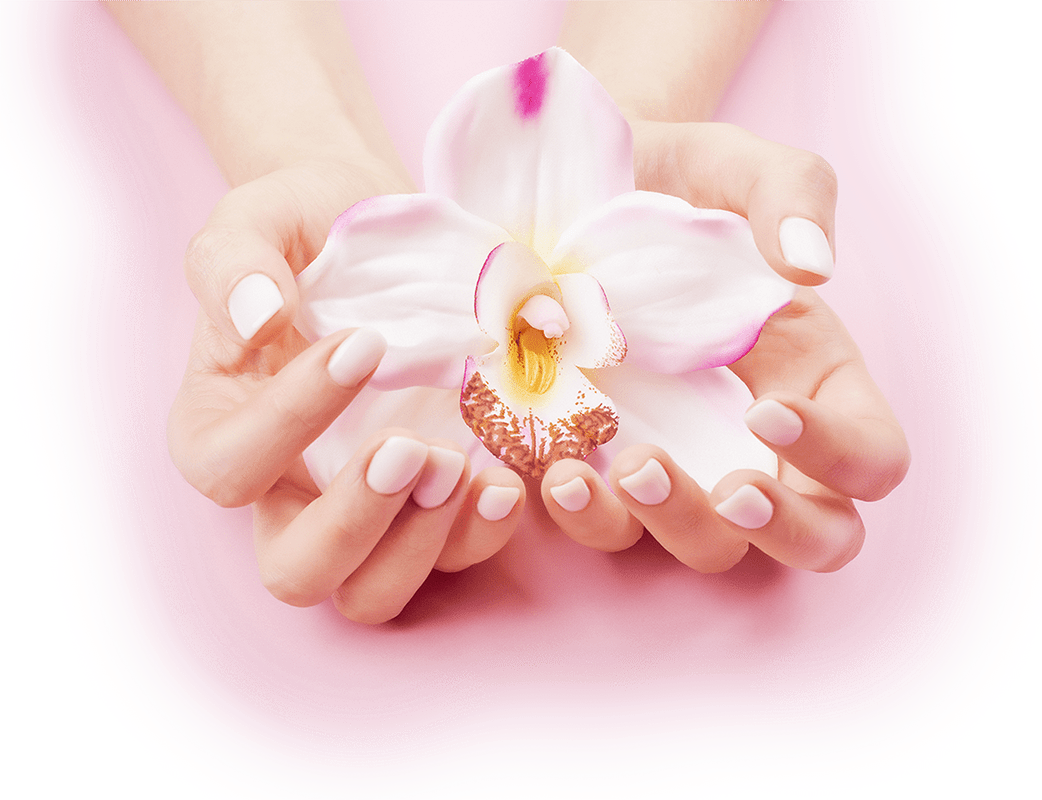We have nailed it with these new launches. So we want to provide you with all the information you need to truly get inspired with your newest nail companions.