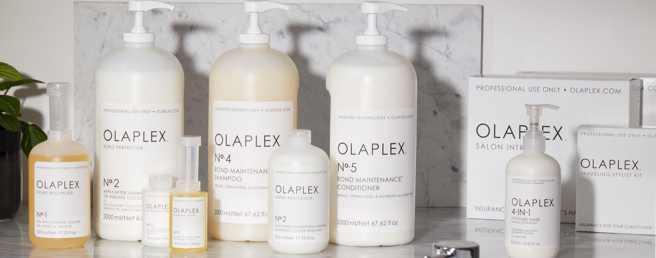 everything about olaplex