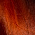 Wella Professional Hair Colour