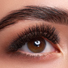 Eyebrows and Eyelashes | Lamination