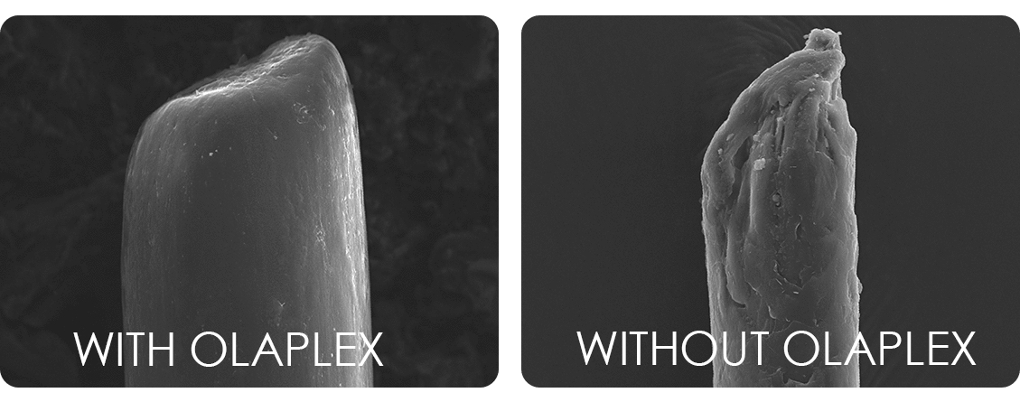 Olaplex diagram of hair shaft with and without Olaplex